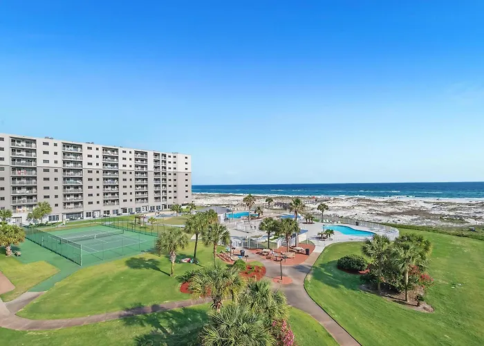 6511 Plantation-palms *